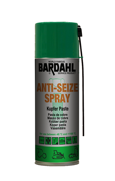 Anti Seize Paste 1100C 